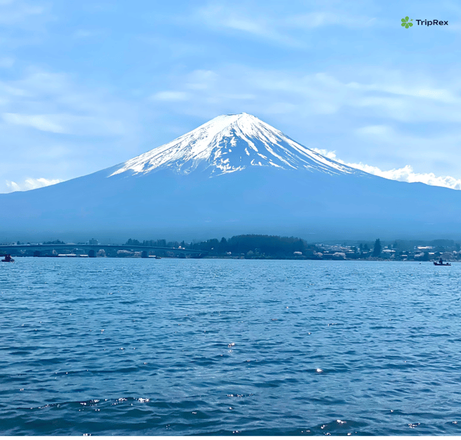 Discover Mount Fuji: Private Car/Van Day Tour From Tokyo - Exhilarating Fuji-Q Highland Rides