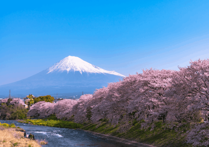 Discover Mount Fuji: Private Car/Van Day Tour From Tokyo - Cultural Immersion and Local Cuisine