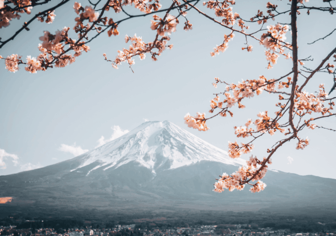 Discover Mount Fuji: Private Car/Van Day Tour From Tokyo - Frequently Asked Questions