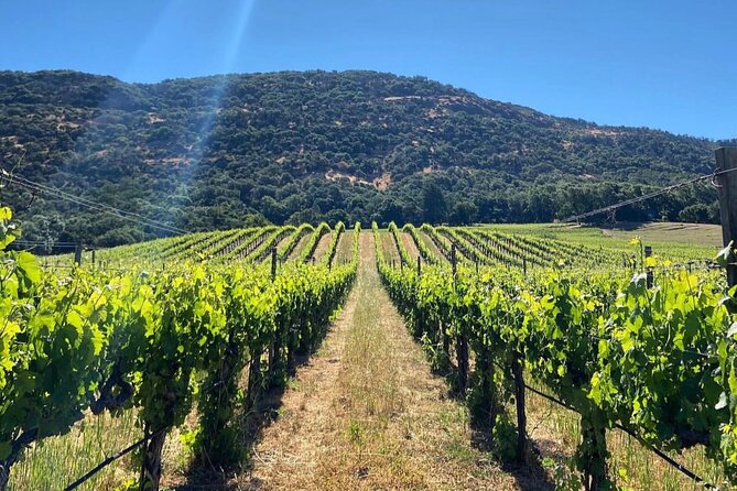 Discover Napa Valley'S Hidden Gems With Local Sommelière - Winery Experiences