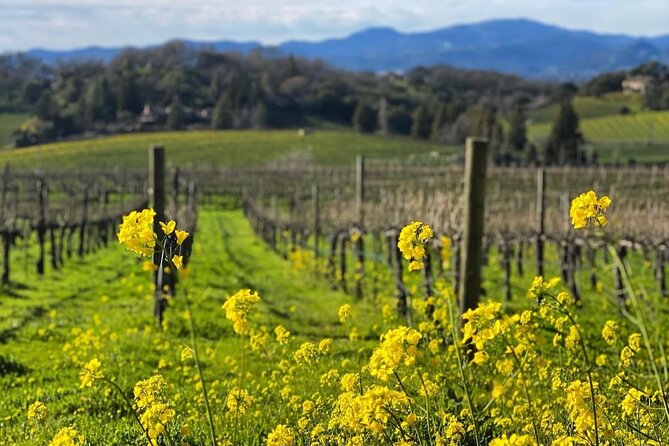 Discover Napa Valley'S Hidden Gems With Local Sommelière - Transportation and Pickup
