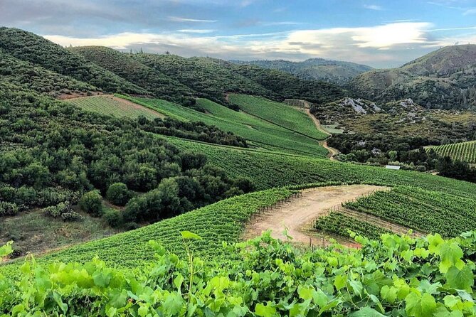 Discover Napa Valley'S Hidden Gems With Local Sommelière - Guest Requirements