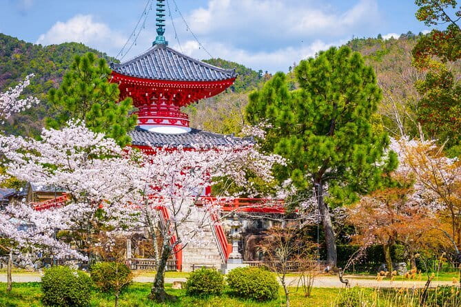 Discover Nara and Kyoto in 4-Day Tour With a Local Guide - Health and Safety