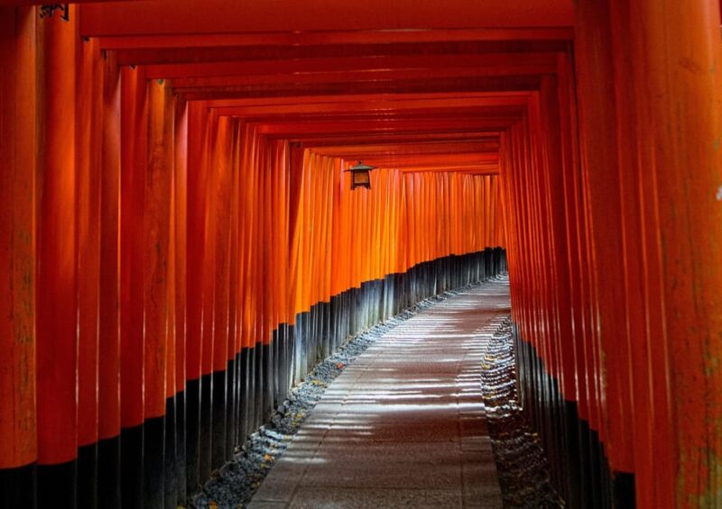 Discover Nara, Kiyozumi-Dera & Fushimi Inari From Osaka - Ascending the Iconic Torii Gates of Fushimi Inari Taisha