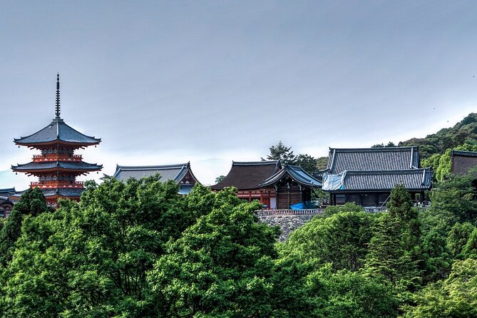 Discover Nara Park, Kyoto Highlights and Fushimi Inari From Osaka - What Youll See and Do