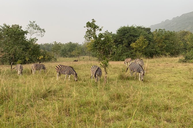 Discover Nature at Shai Hills and Akosombo: Wild Animals, Caves & Volta Lake - Pickup and Arrival