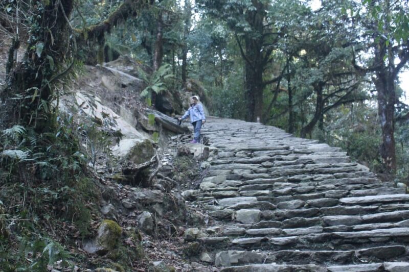 Discover Nepal: 12 Day Trekking and Wildlife Expedition - Gear and Packing