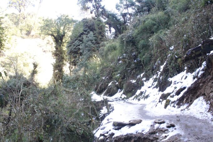 Discover Nepal: 12 Day Trekking and Wildlife Expedition - Additional Services