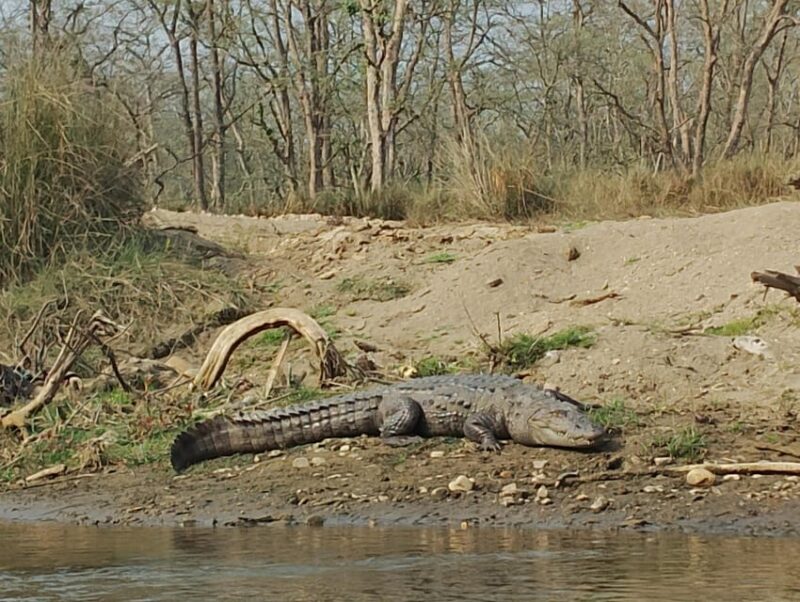 Discover Nepal Tour Package (9 Nights /10 Days) - Important Information