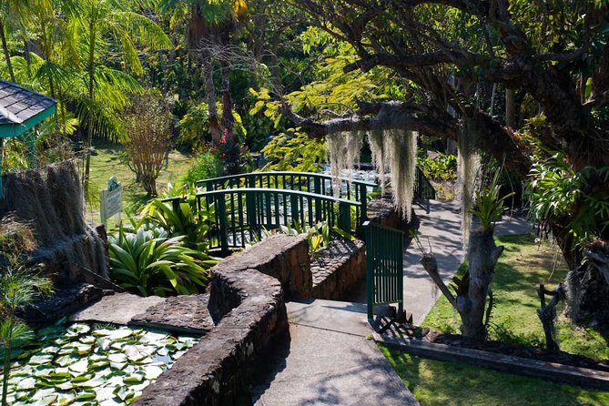 Discover Nevis, Island Tour (Private) - Health and Accessibility