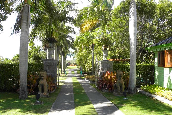 Discover Nevis, Island Tour (Private) - Tour Hermitage Plantation