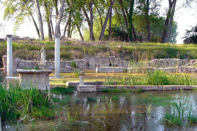 Discover Olympus & Dion: Private Day Trip From Thessaloniki - Visiting Dion Archaeological Park