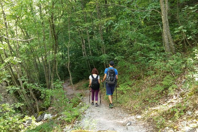 Discover Olympus & Dion: Private Day Trip From Thessaloniki - Enjoying Local Cuisine
