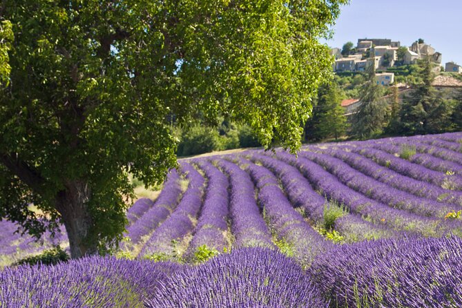Discover Our Fields and Lake Full-Day Shared Tour From Nice - Notable Feedback
