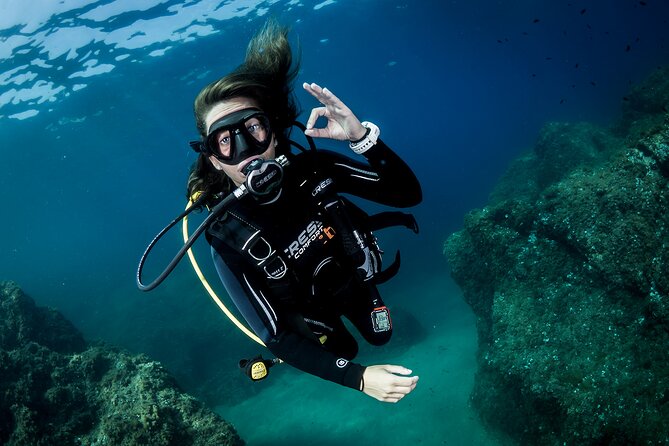 Discover PADI Diving in Barcelona - What to Expect