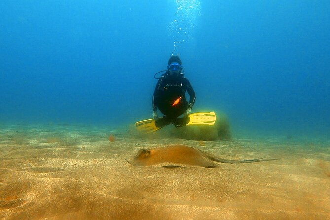 Discover PADI Scuba Diving in the Area of Tortugas in Playa De Abades - Discover PADI Scuba Diving
