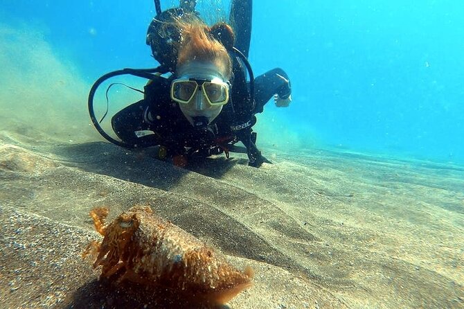 Discover PADI Scuba Diving in the Area of Tortugas in Playa De Abades - Explore Tortugas in Playa
