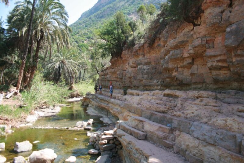 Discover Paradise Valley From Agadir or Taghazout - Swimming in Paradise Valley