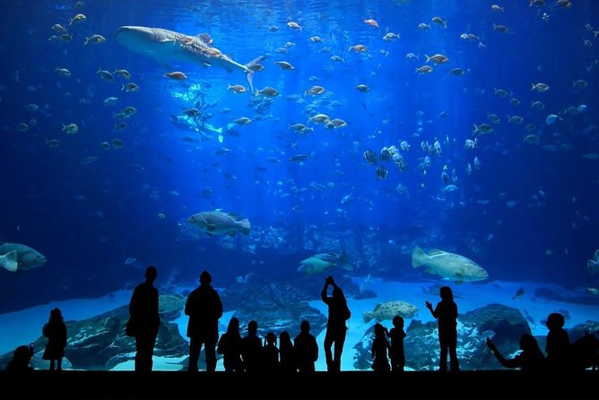 Discover Pattaya Underwater World With FREE Hotel Pickup - Nearby Attractions and Activities