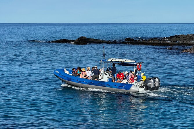 Discover Pawai Afternoon Reef Snorkel - Tropical Fish and Lava Arches