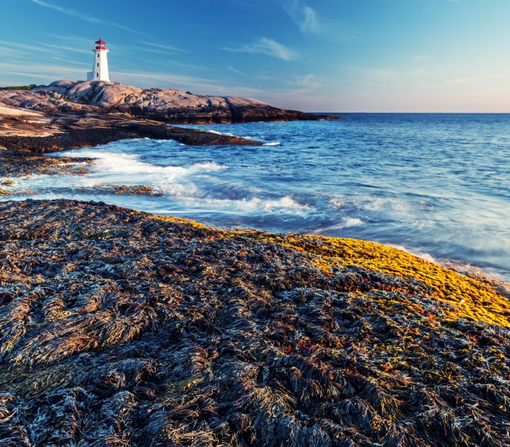 Discover Peggys Cove: Private Journey From Halifax - Pickup and Itinerary