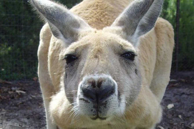 Discover Perth Full Day Tour - Key Points
