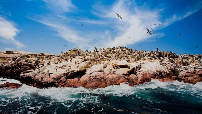 Discover Peru in 16 Days: Lima, Cusco, Puno and Bolivia - Notable Attractions