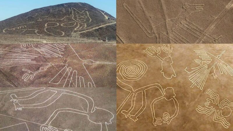 Discover Peru in 16 Days: Lima, Cusco, Puno and Bolivia - Inclusions and Accommodations