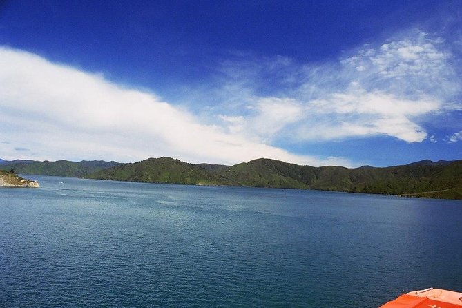 Discover Picton: Self-Guided Audio Tour - Location and Start/End Points