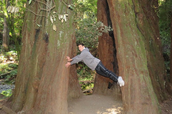 Discover Point Reyes National Seashore & Muir Woods Redwoods - Coastal Towns: Bolinas and Stinson