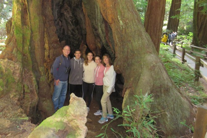 Discover Point Reyes National Seashore & Muir Woods Redwoods - Luxury Transportation and Logistics