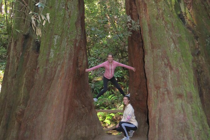 Discover Point Reyes National Seashore & Muir Woods Redwoods - Tour Inclusions and Exclusions