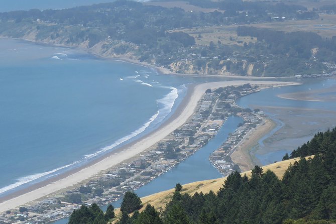 Discover Point Reyes National Seashore & Muir Woods Redwoods - Booking Information and Policies