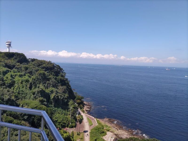 Discover Priceless Yokosuka in Special One-Day Walking Tour - Language and Group Type