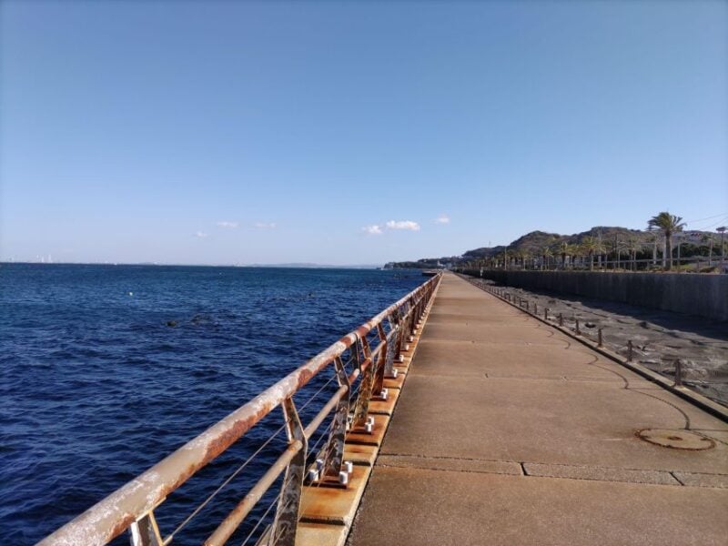 Discover Priceless Yokosuka in Special One-Day Walking Tour - Experience Sarushima and Mikasa Park