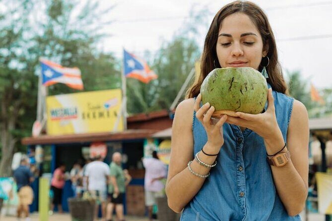 Discover Puerto Rico Like a Local 4 Hour Private Beach Escape - Who Would Love This Tour?