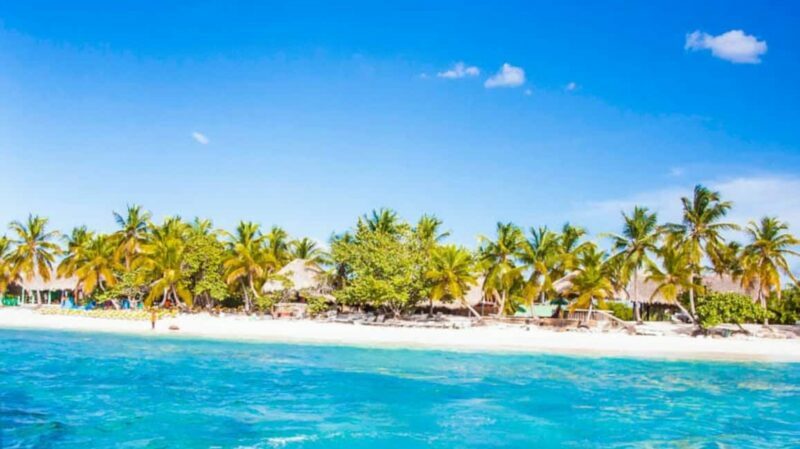 Discover Punta Cana: Full-Day Saona Island All Included - Key Points