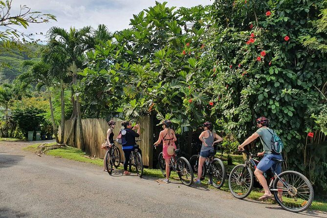 'Discover' Rarotonga Cycling Tour with Lunch - What the Tour Offers: A Genuine Look at Rarotonga