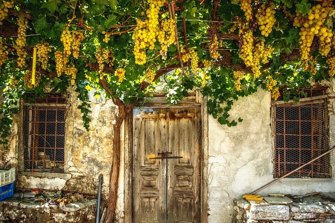 Discover Rhodes: Filerimos, Butterflies, Kameiros, Prof Guide - Immerse in Butterfly Valley