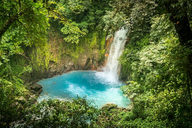 Discover Rio Celeste Labyrinth, Sloth Sanctuary & River Swim - Itinerary and Activities