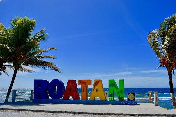 Discover Roatan - Visiting the Different Cultural Villages of Roatan! - Navigating the Mangrove Tunnels of Oak Ridge