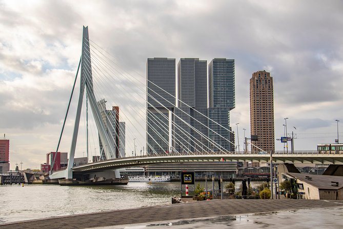 Discover Rotterdam'S Most Photogenic Spots With a Local - Exploring the Market Hall