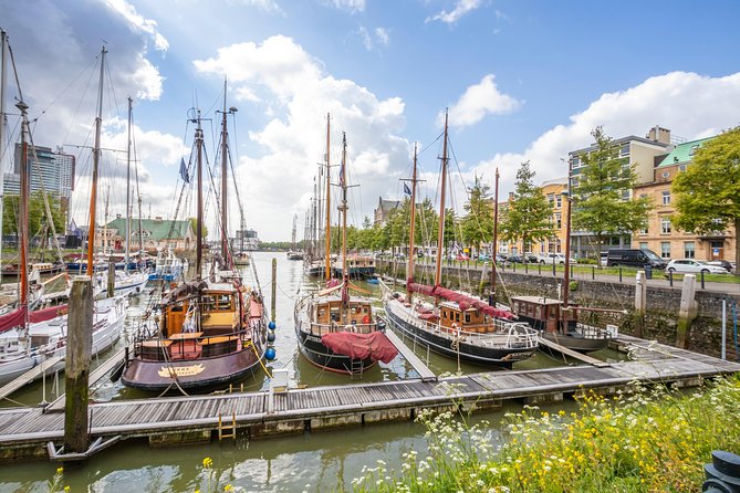 Discover Rotterdam'S Most Photogenic Spots With a Local - Small-Group Tour Experience