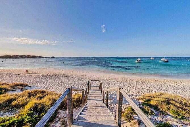 Discover Rottnest With Ferry & Bus Tour - Spotting the Quokka