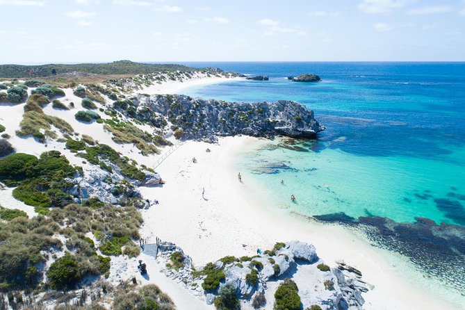Discover Rottnest With Ferry & Bus Tour - Tour Details and Policies