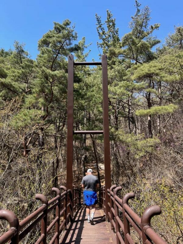 Discover Sacred Trails to Yongjangsa at Gyeongju's Namsan Mt - Introduction: Why This Guided Hike at Namsan Matters