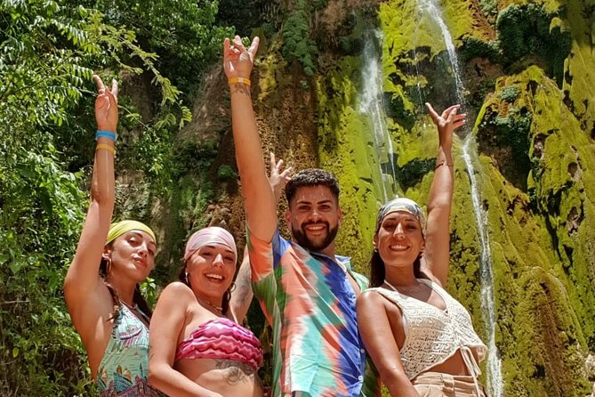 Discover Samana, Bacardi Island, the Limon Waterfall and the Whales - Tour Highlights