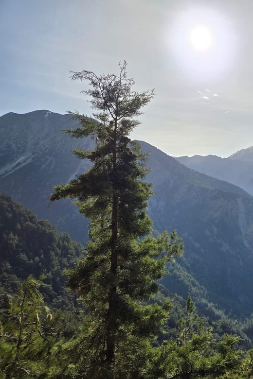 Discover Samaria, the Longest Gorge in Europe! - Key Points