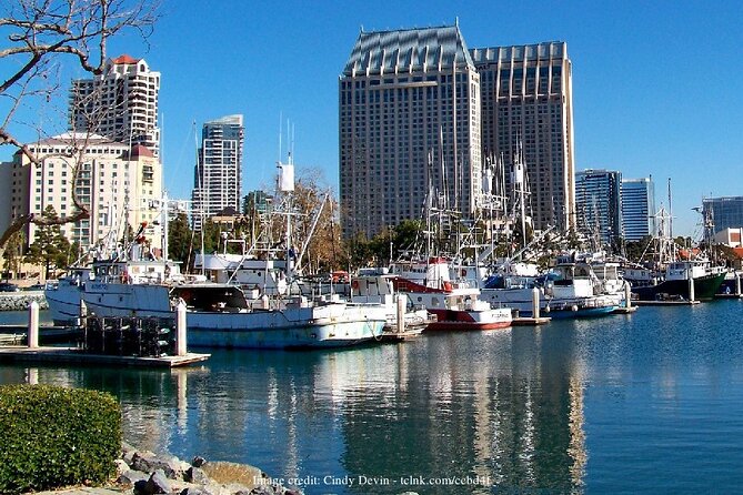 Discover San Diegos Beaches: Private Driving Tour - Exploring La Jolla Beaches