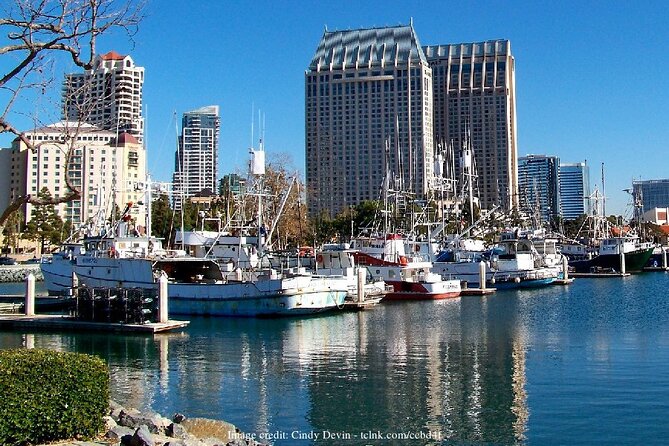 Discover San Diegos Beaches: Private Driving Tour - Experiencing Mission Beach